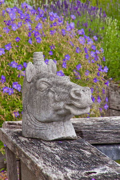 _mg_4637.jpg