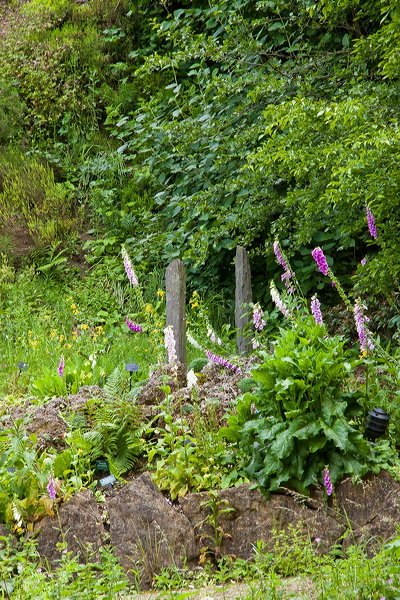 _mg_4663.jpg