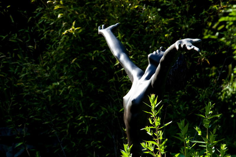 _mg_2600.jpg