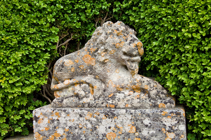 _mg_3324.jpg