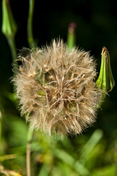 _mg_3371.jpg