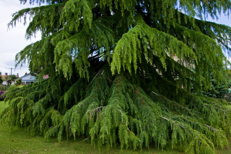 _mg_3437.jpg