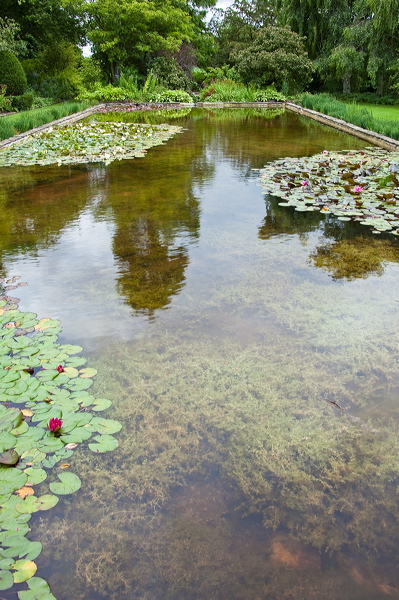 _mg_3454.jpg