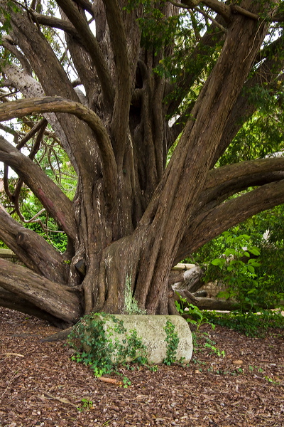 _mg_2328.jpg