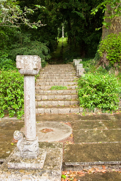 _mg_3174.jpg