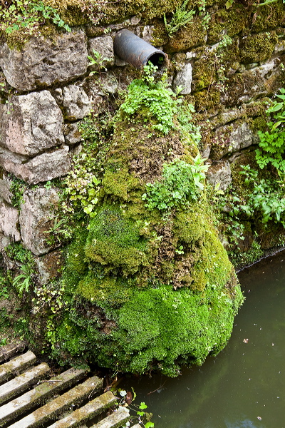 _mg_2228.jpg