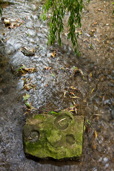 _mg_3519.jpg