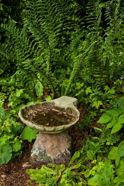 _mg_3570.jpg