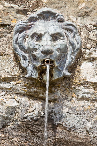 _mg_4427.jpg