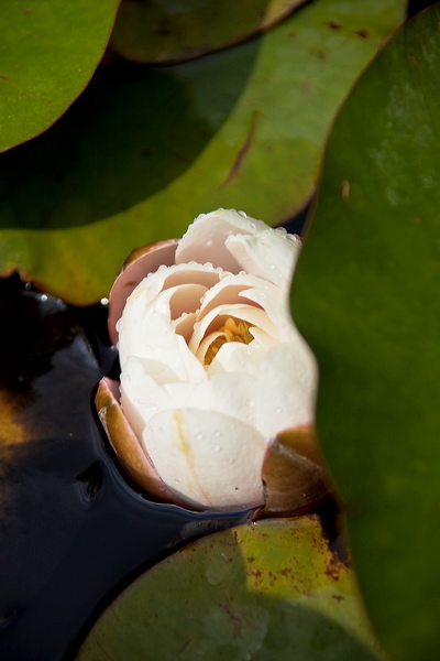 _mg_2647.jpg