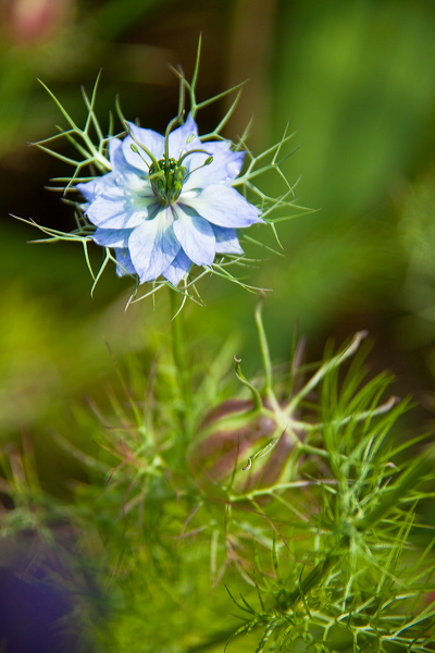 _mg_2654.jpg