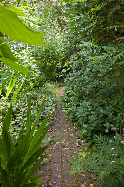_mg_2671.jpg