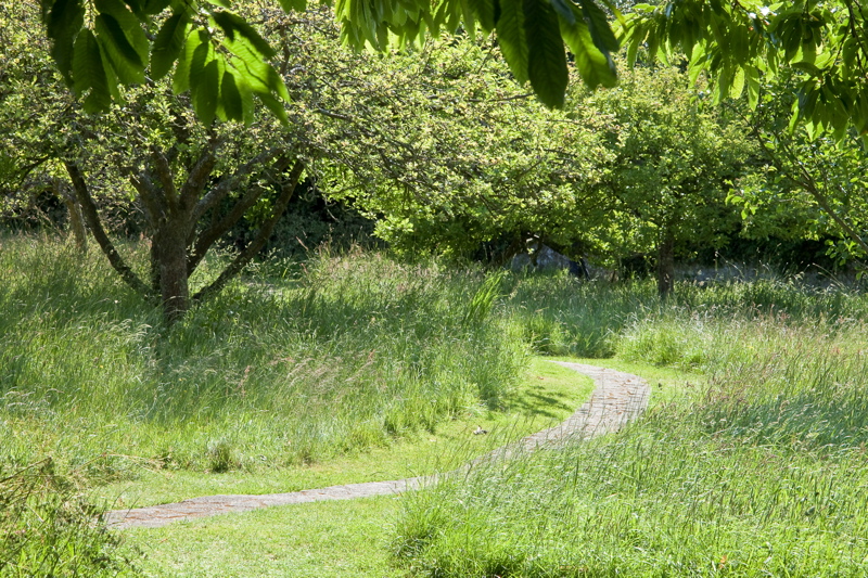 _mg_2696.jpg
