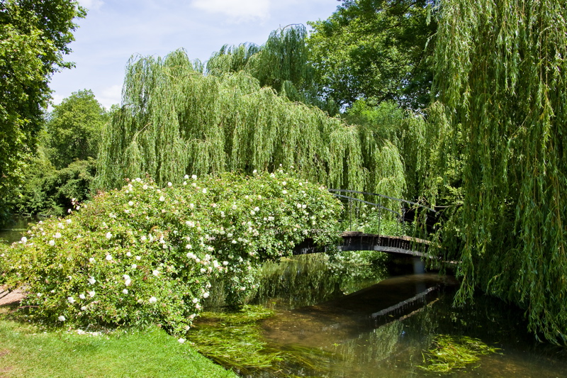 _mg_3057.jpg
