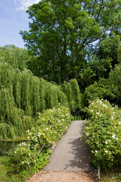 _mg_3060.jpg
