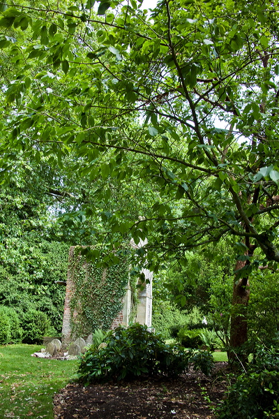 _mg_3066.jpg