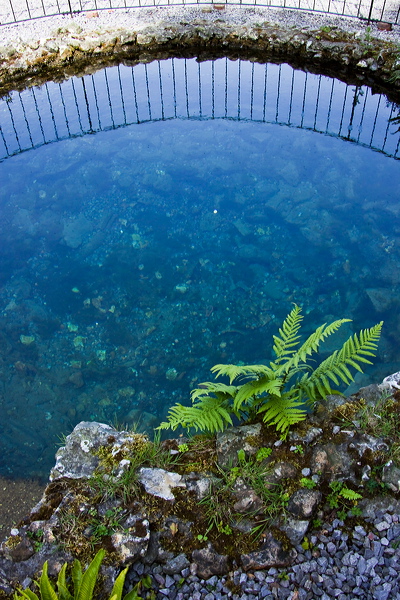 _mg_3082.jpg