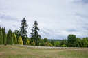 _mg_2420