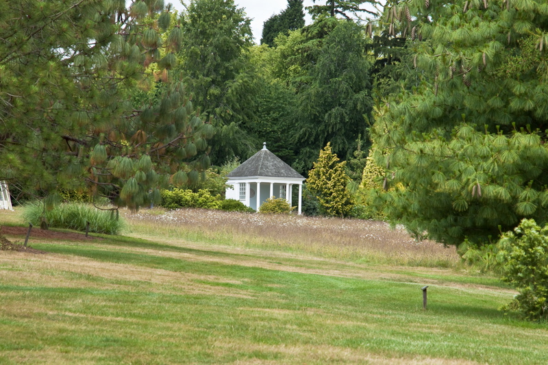 _mg_2442.jpg