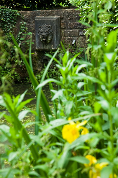 _mg_2110.jpg