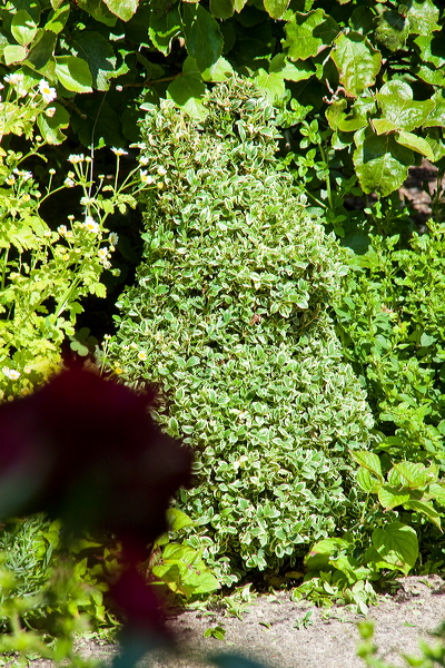 _mg_4440.jpg