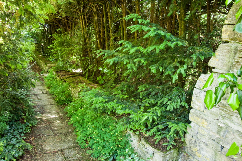 _mg_4444.jpg