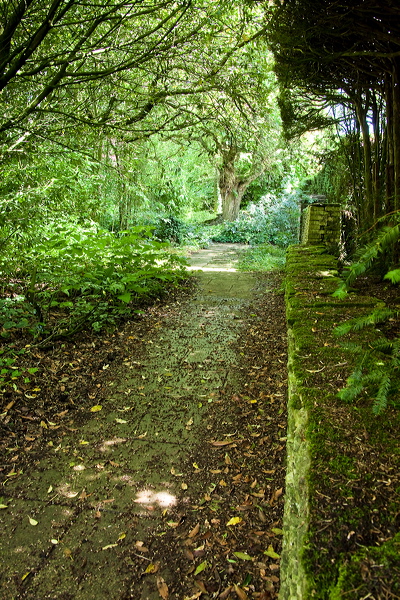 _mg_4445.jpg