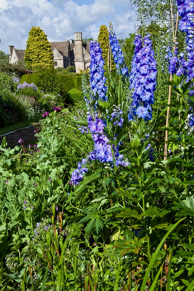 _mg_4544.jpg