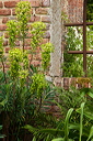 _mg_2013