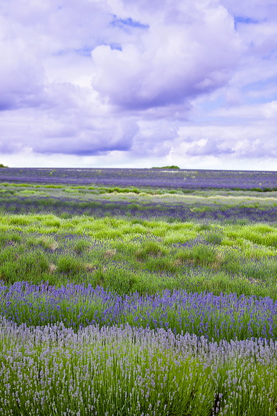 _mg_3882.jpg