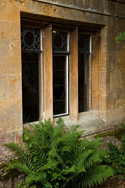 _mg_4187.jpg