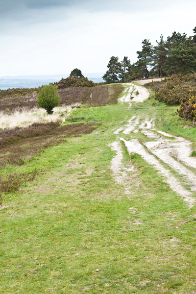 _mg_7904.jpg