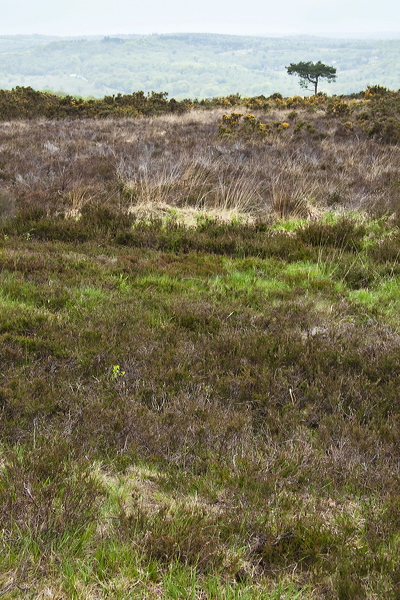 _mg_7916.jpg