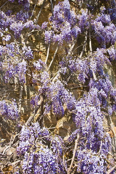 _mg_7883.jpg