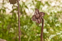 _mg_0063