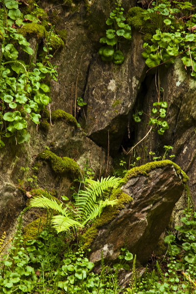 _mg_8740.jpg