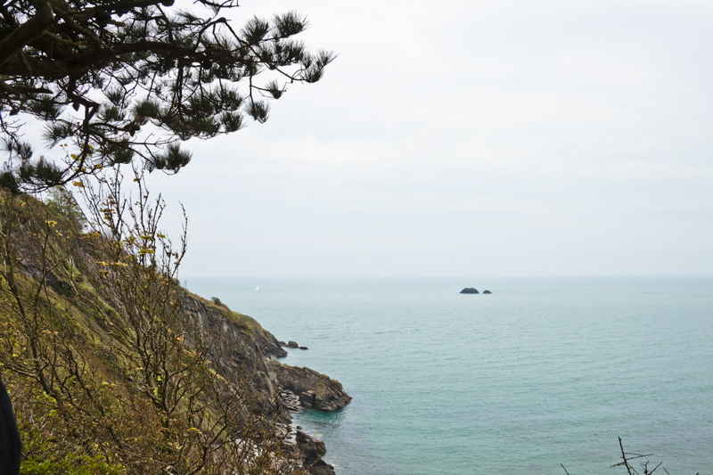 _mg_8748.jpg