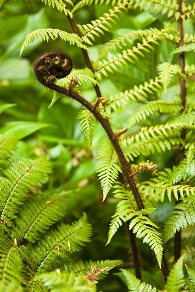 _mg_8750.jpg