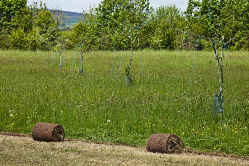 _mg_8977.jpg