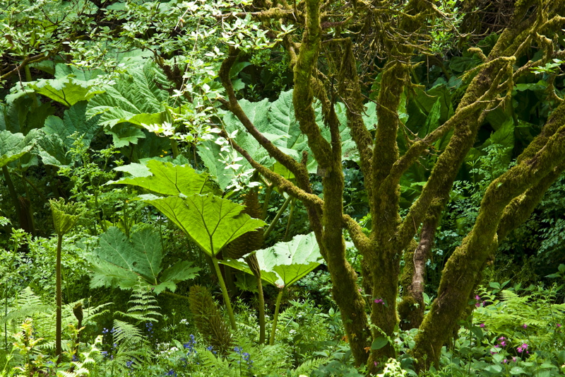 _mg_9045.jpg