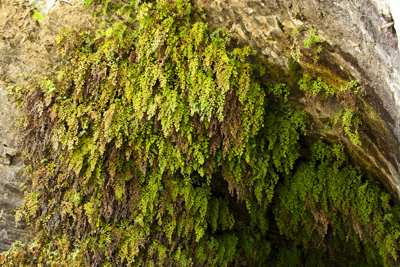 _mg_9069.jpg
