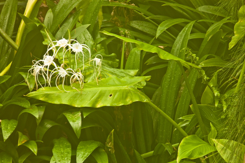 _mg_0018.jpg
