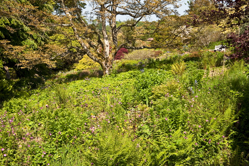 _mg_8890.jpg