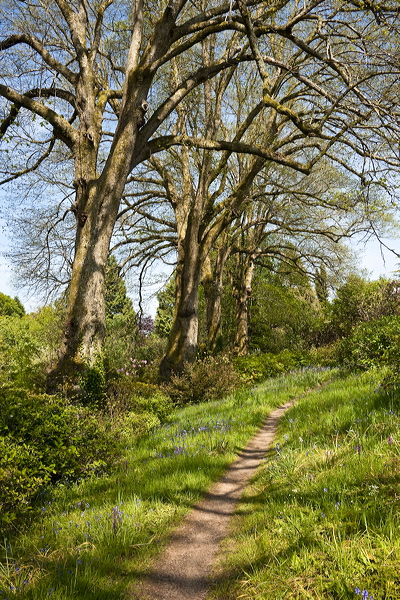 _mg_8911.jpg