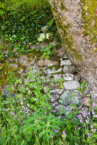 _mg_9538.jpg
