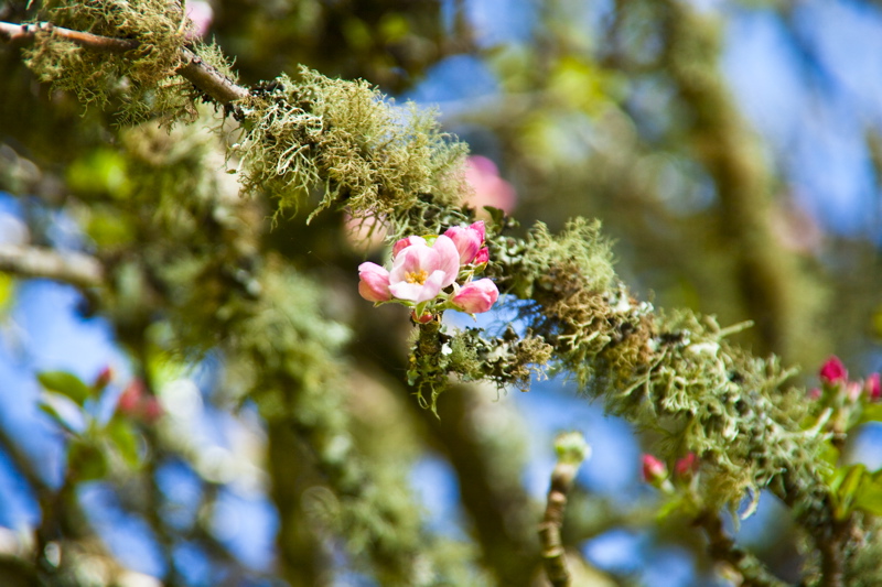 _mg_9552.jpg