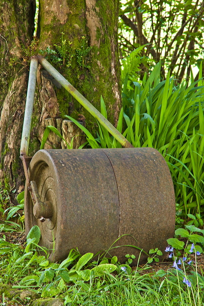 _mg_9555.jpg