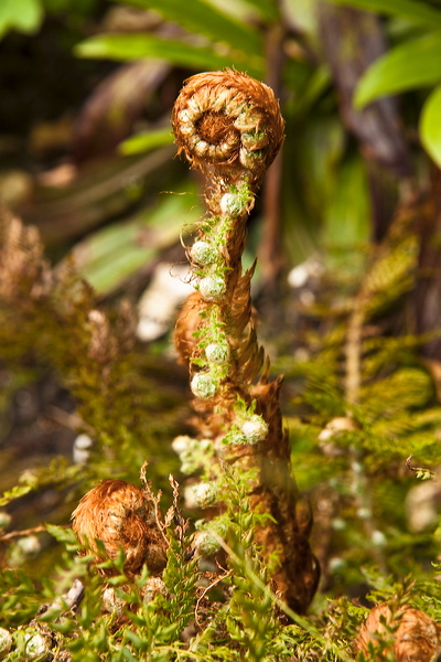 _mg_8301.jpg