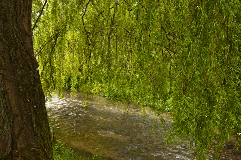 _mg_8404.jpg
