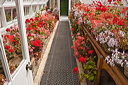 _mg_9883